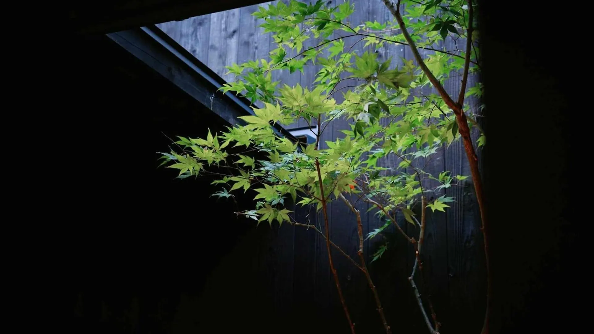 Kyoto Machiya Zeniyacho contacts